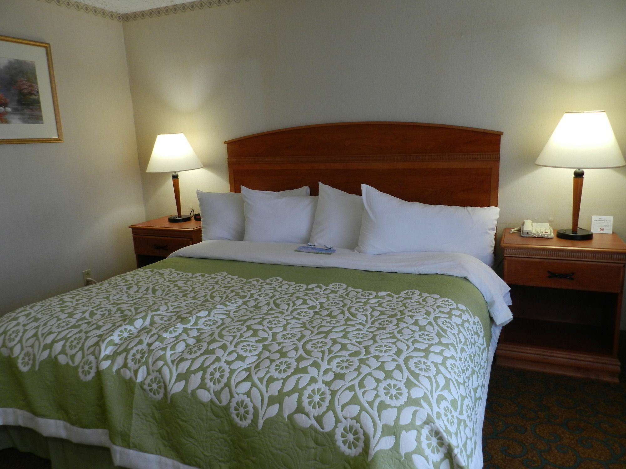 Clarion Pointe Rhinelander Downtown Hotel Eksteriør billede